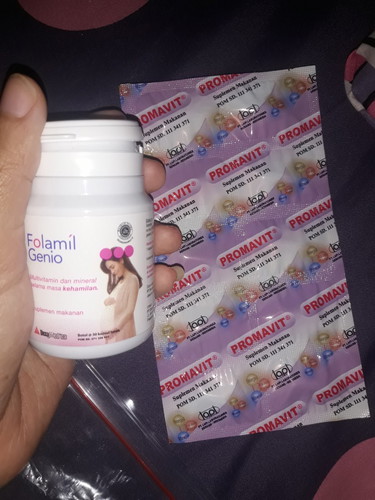 vitamin selama hamil trimester I