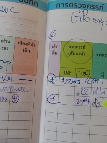 เพศ