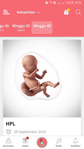40 weeks