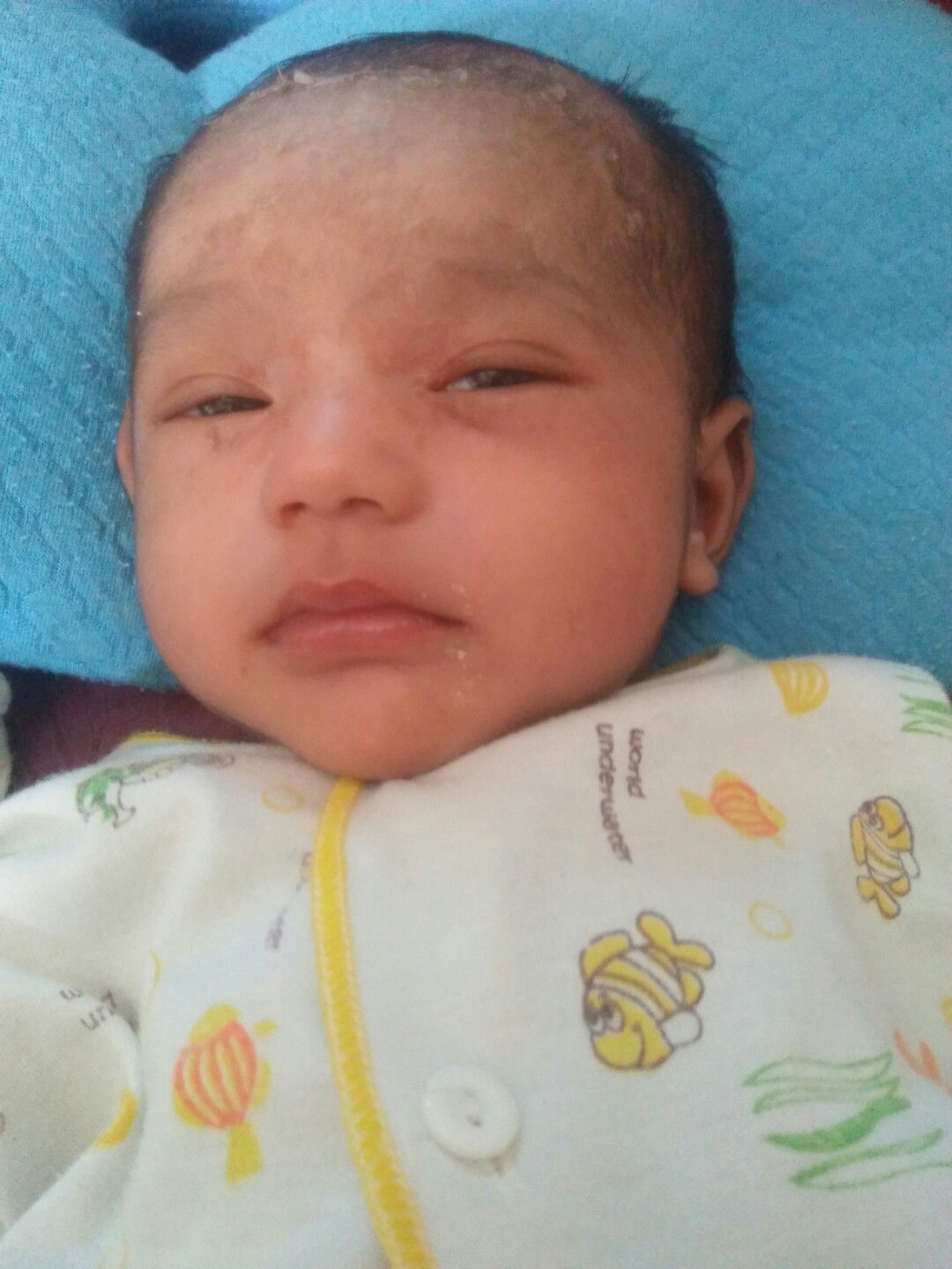 adakah cara yg cepat