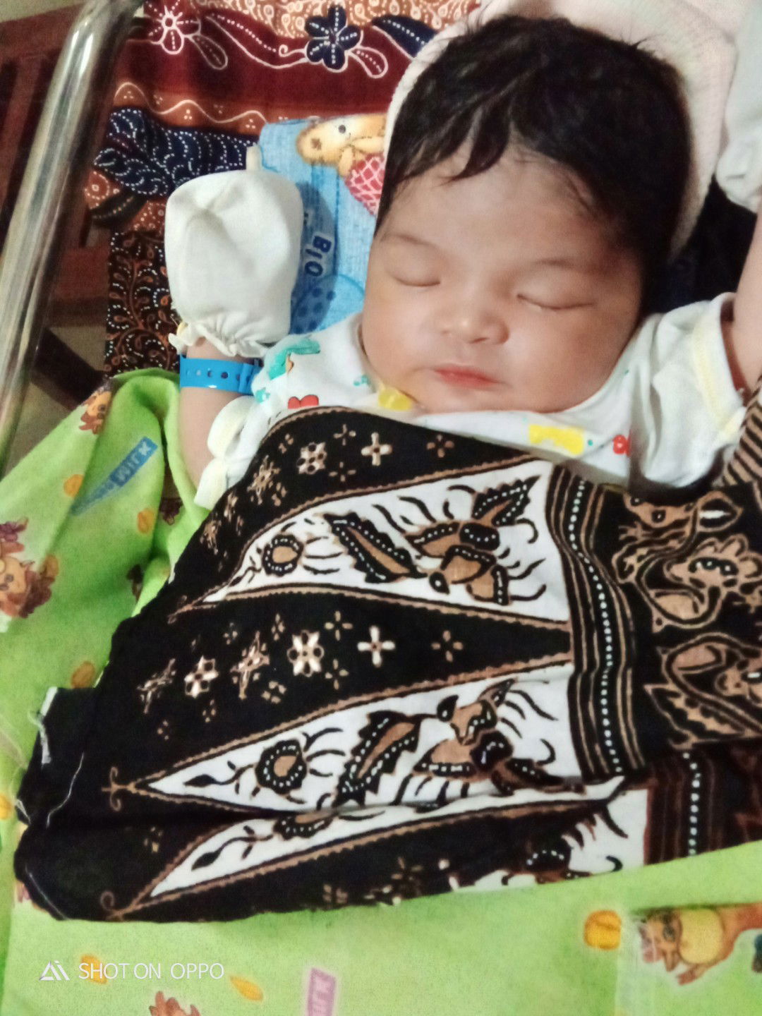 HPL 27 Februari Lahir 29 Februari