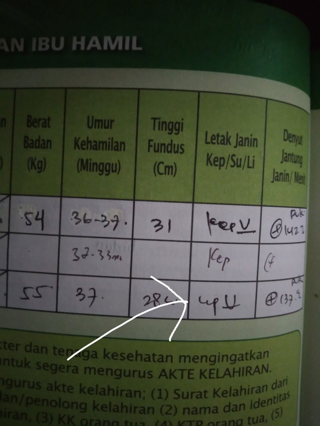 sudah masuk panggul ??