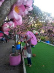 Amal lia profile icon