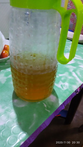 malunggay