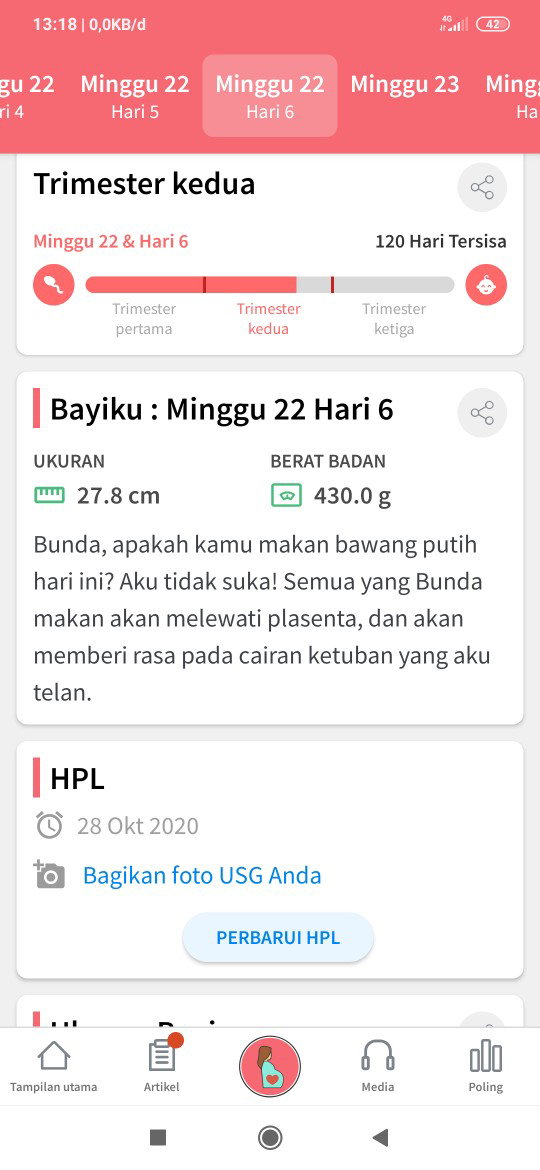 usg kandungan