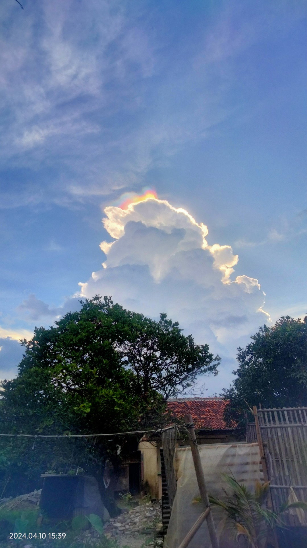 Adela Putria profile icon