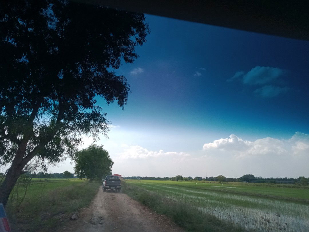 เจ้าหญิง เปื่อนฝุ่น profile icon