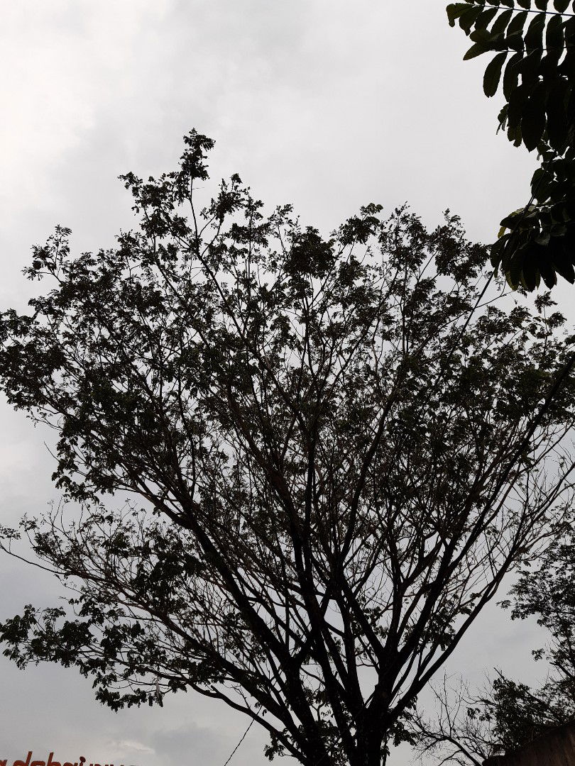 Nanda Fadillah profile icon