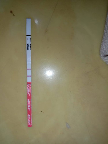 hamil atau tidak?