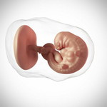 Darling profile icon