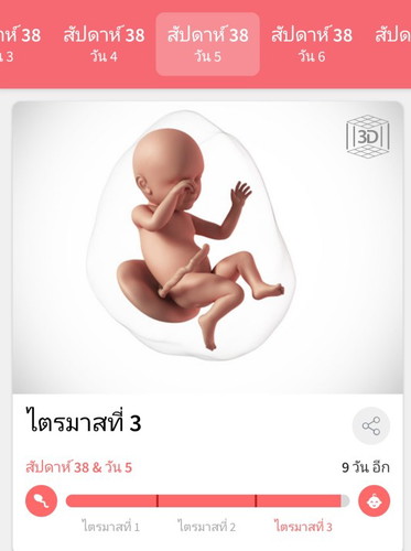 แม่ทีม มิถุนายน ใครแตกแล้วบ้างค่ะ