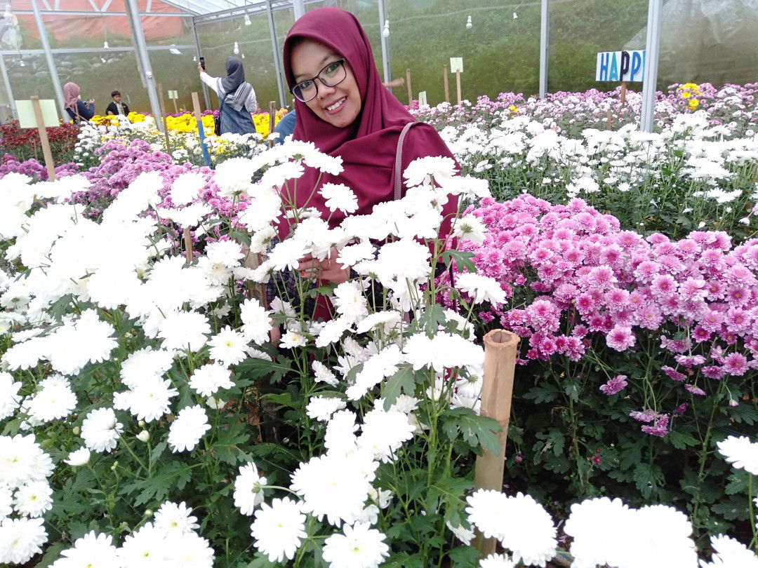 Ifrocha Kailani profile icon