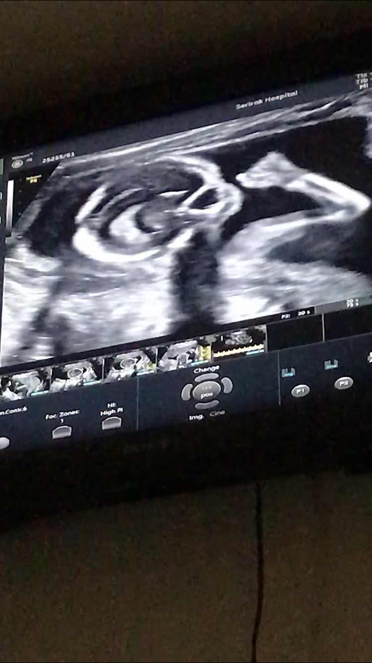 Asingle Person profile icon