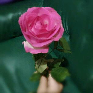 Gina Sonia Pratiwi profile icon