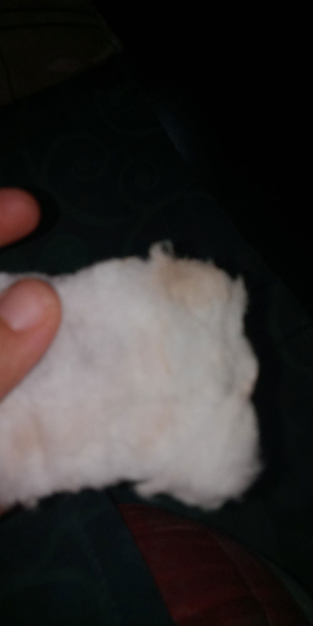 pendarahan implantansi