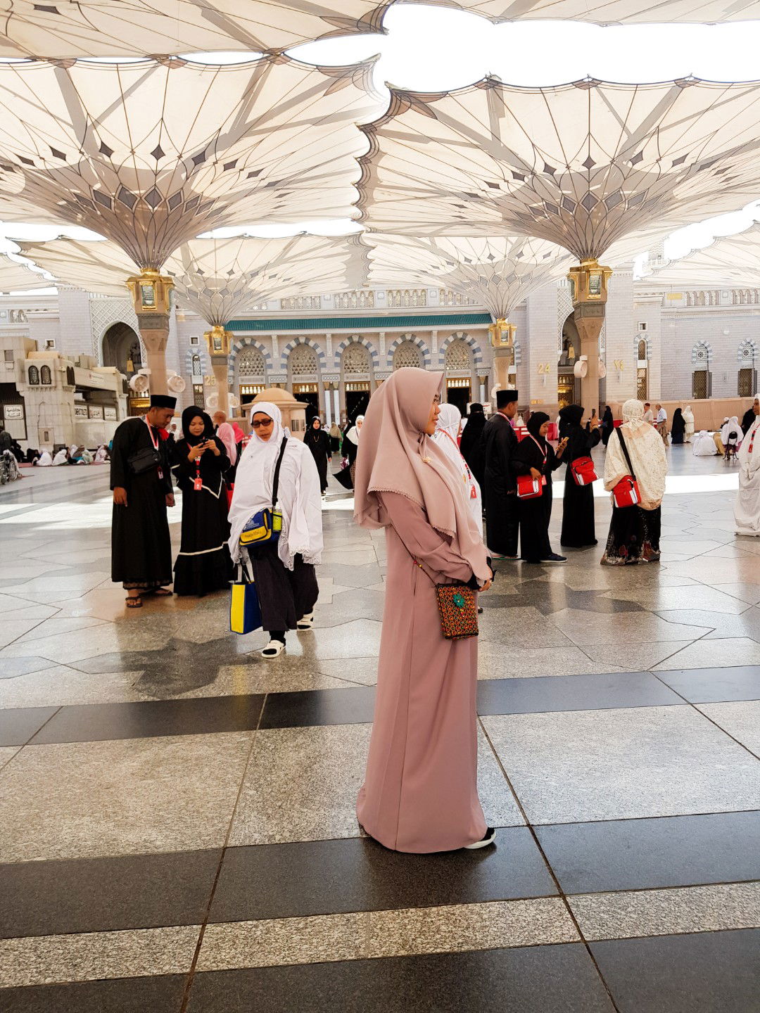 Ani Ghaffur profile icon