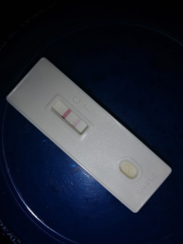 Pregnancy Test
