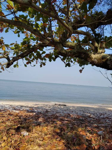 Mummy el profile icon