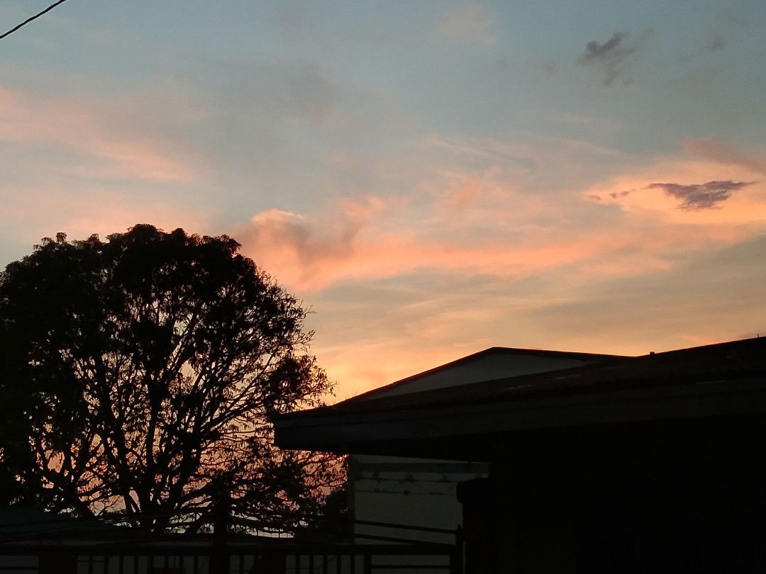 zian leigh profile icon