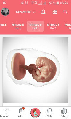 kehamilan