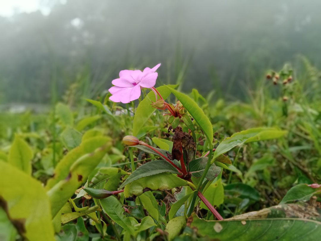 L i n d a profile icon