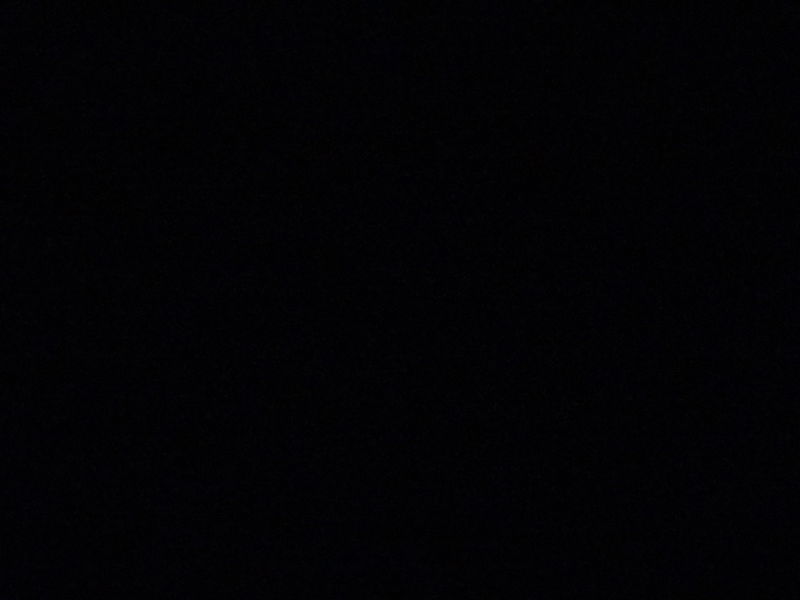 monmonturtur profile icon