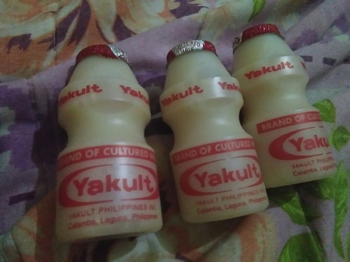 yakult