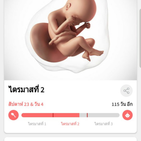ขอดูท้องแม่ๆหน่อยค่ะ