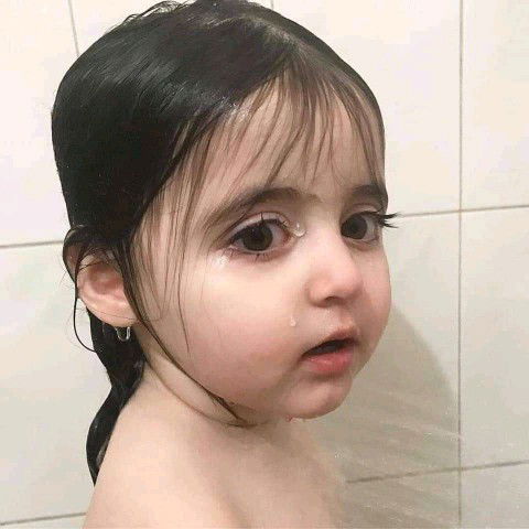 เฟิน เฟิน profile icon