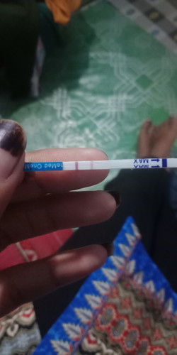 haid bln kmren tgl 23 dan bln ini haid tgl 24 tpi smpe skg blm haid juga kmren coba di tes hasil nya garis 2 tapi masih sama2 apakah itu hamil