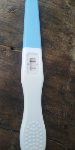 ท้องป่าว