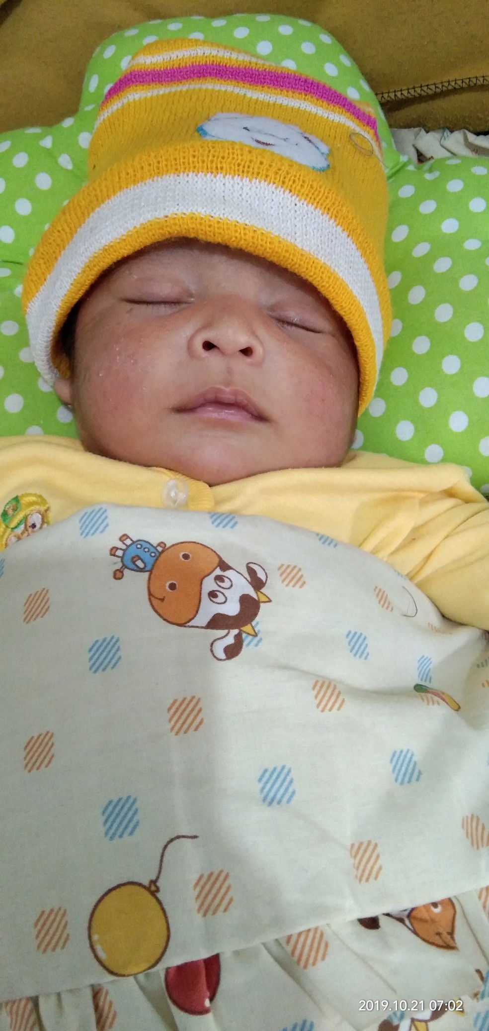 Semangat mengASIhi...