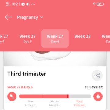 27week and 6day