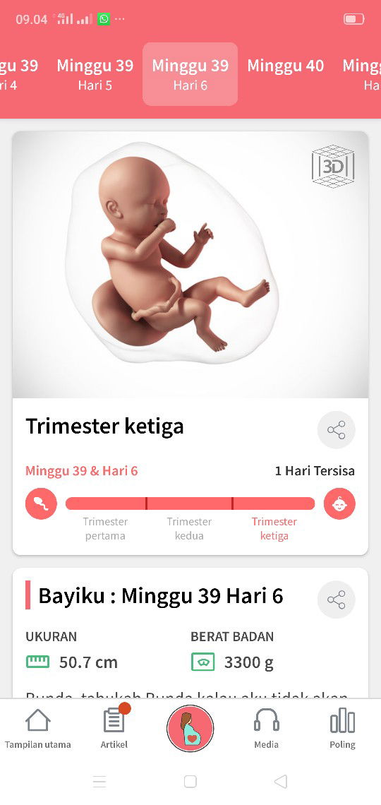 Belum ada tanda-tanda gelombang cinta