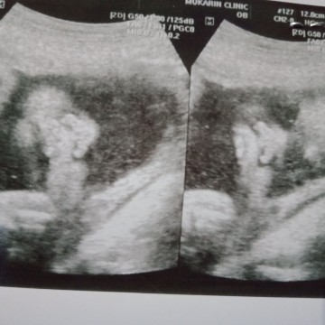 ได้ลุกสาว