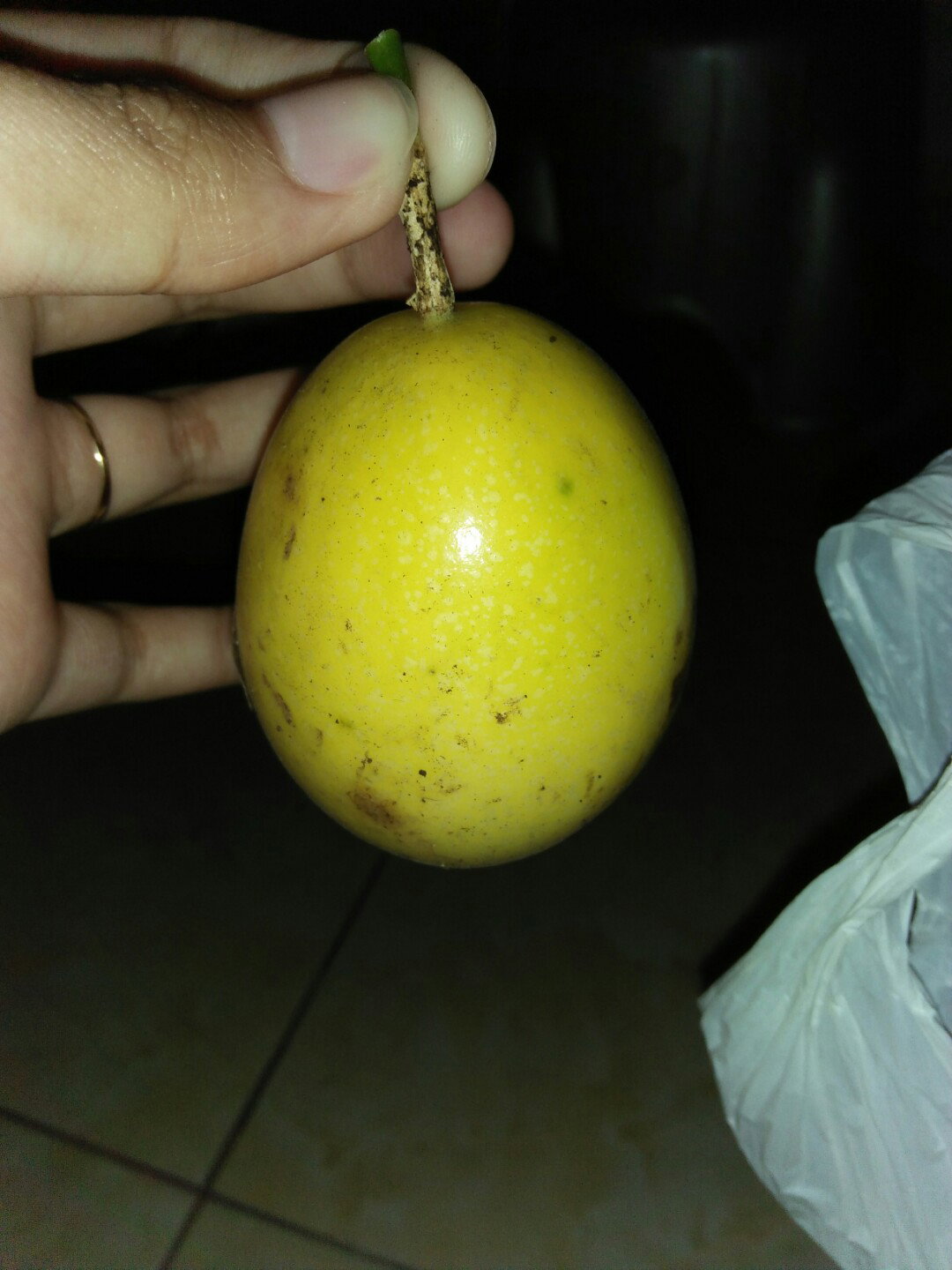 makan buah markisa