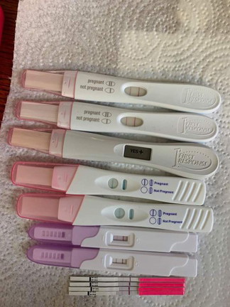 Pregnancy results