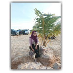 Refni Asmarani profile icon