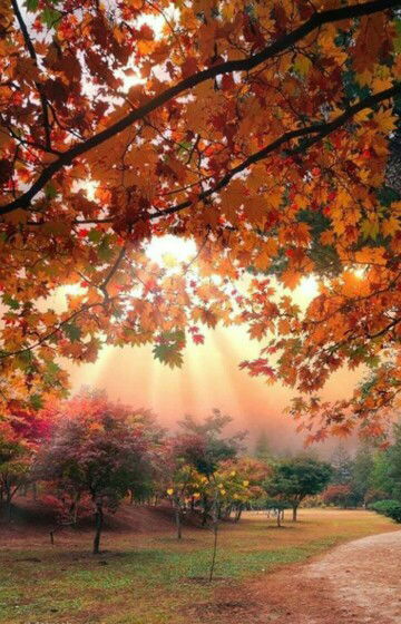 Marina Dwi Maya profile icon