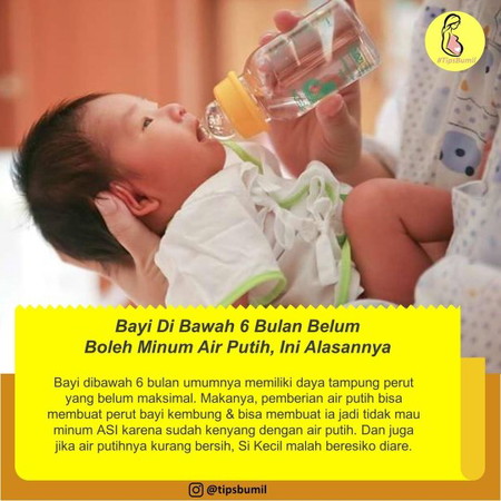 Bayi Minum Air Putih