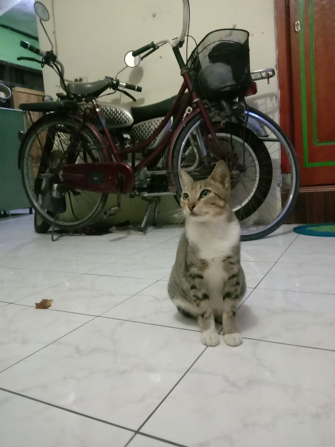 Fitria Fadilah profile icon