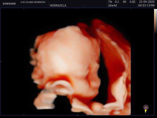 museiyla profile icon