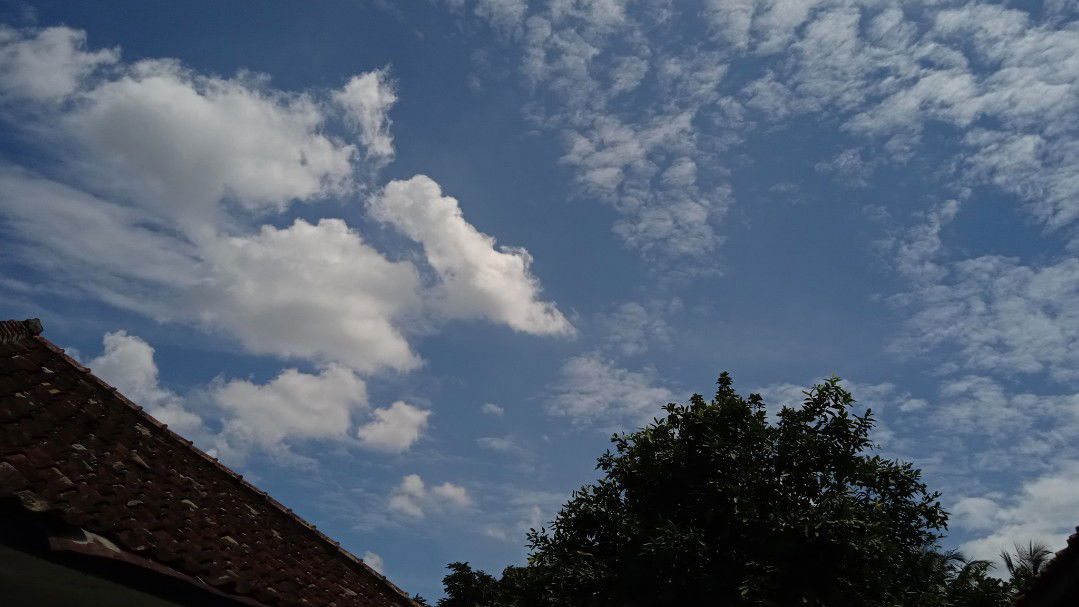 Denada Fitri profile icon