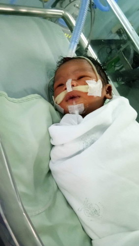 ลูกน้อย