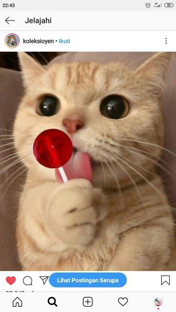 ayu astriyani profile icon