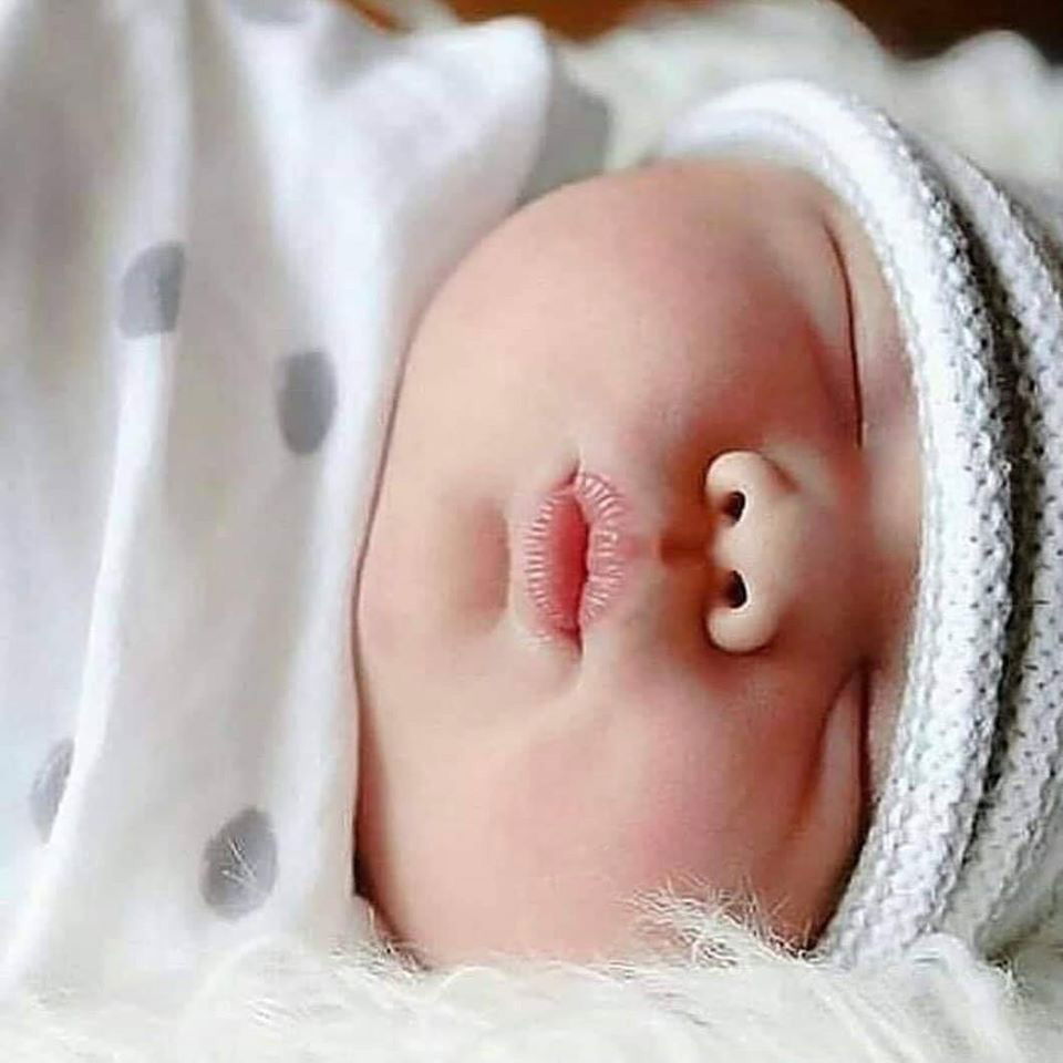 Nonies? profile icon