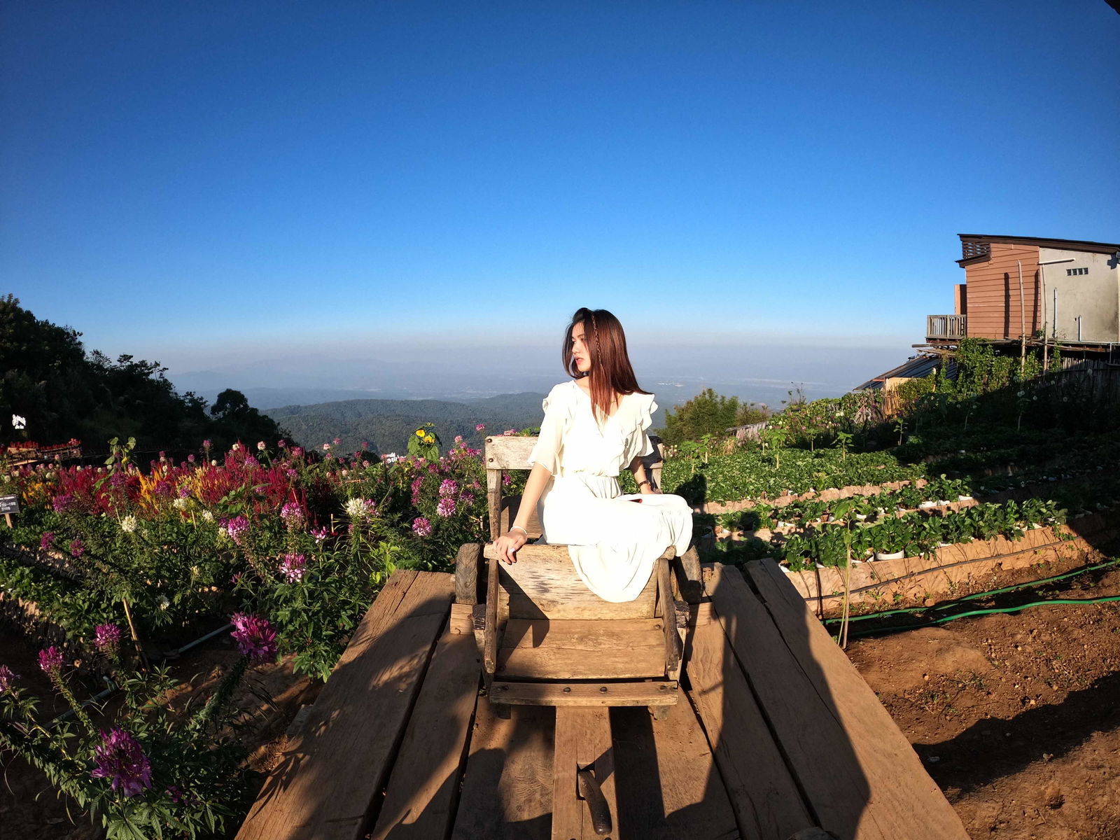 Thipaporn profile icon