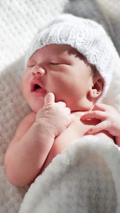 Dara Koleen profile icon