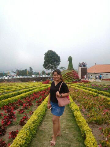 dwi arena profile icon