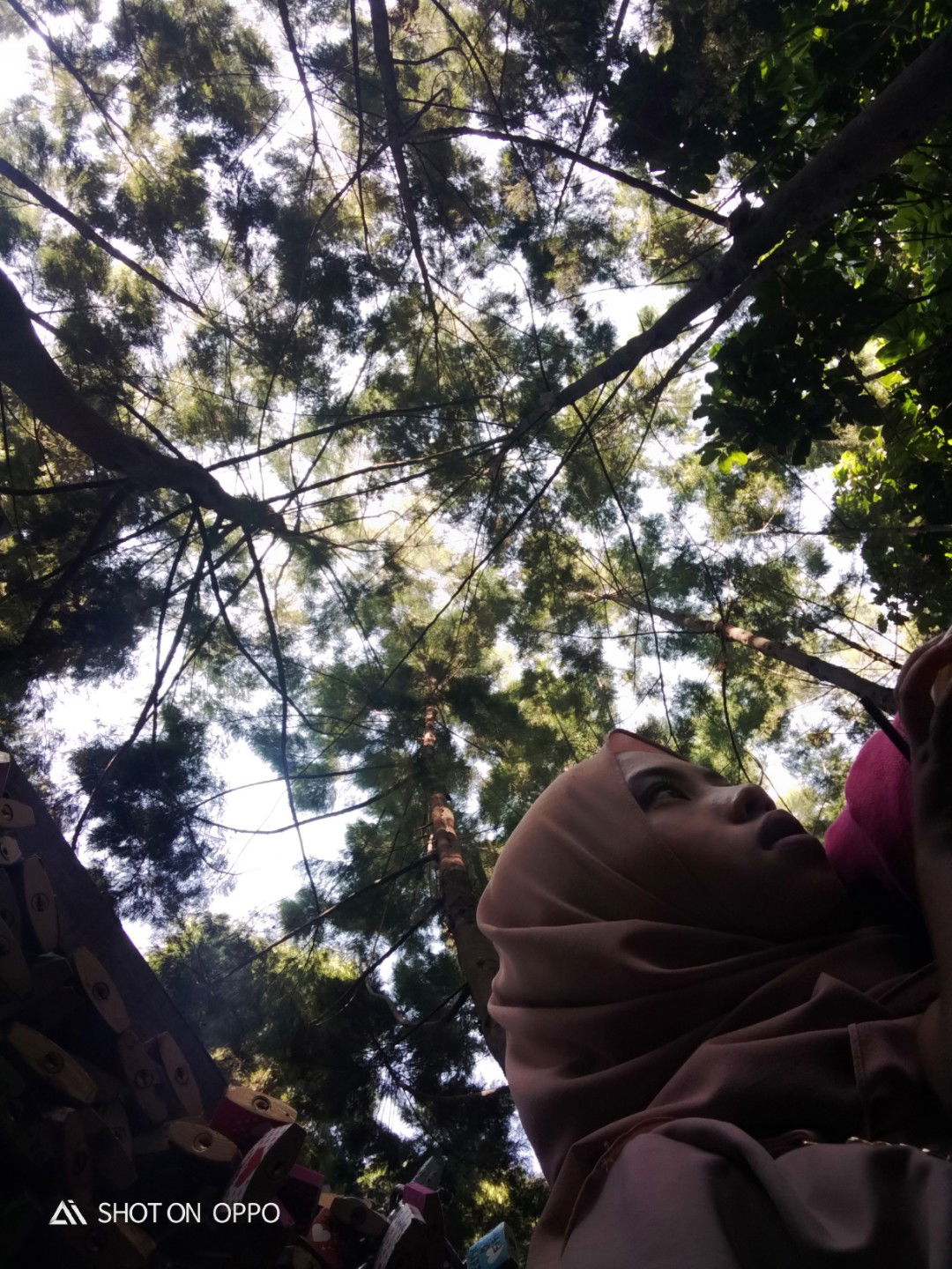 Yupinkurnaesin profile icon